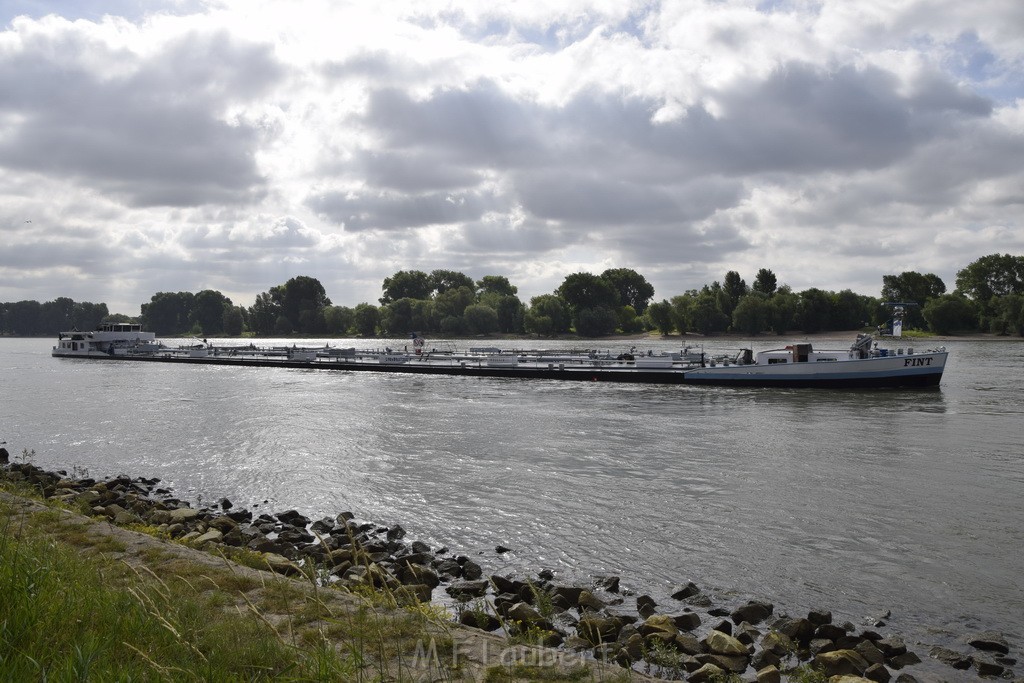 Schiff 1 Koeln in Hoehe der Koelner Zoobruecke P296.JPG - Miklos Laubert